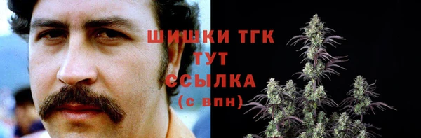 ECSTASY Липки