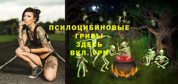 герыч Лиски