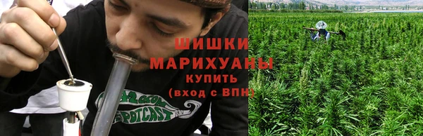 ECSTASY Липки