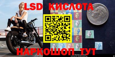 гидропоника Канаш