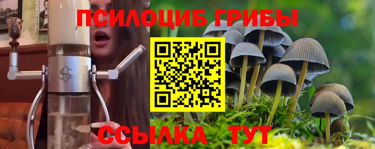 Галлюциногенные грибы Magic Shrooms Лыткарино