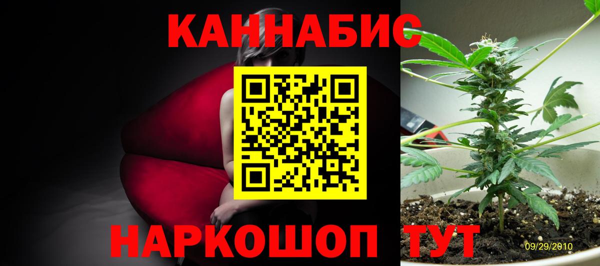Шишки марихуана тримм  Вход с VPN  Лыткарино  Бошки марихуана White Widow  Шишки марихуана AK-47 